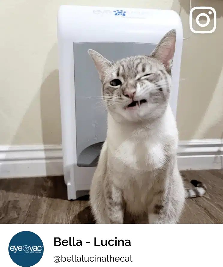 EyeVac Pet 3