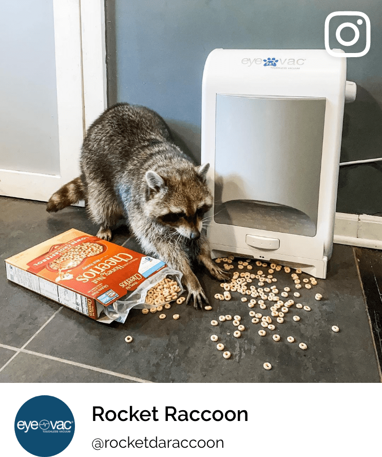 EyeVac Pet 7